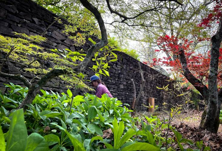The Knoxville Botanical Garden & Arboretum is one of the organizations The Garden Conservancy supports through its Garden Futures grants. Photograph courtesy of the Garden Conservancy.