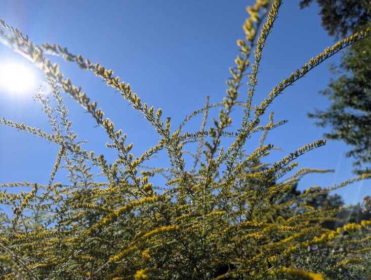 Photograph by Joy Yagid.