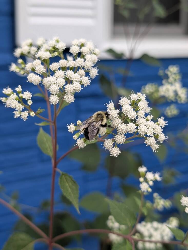 Photograph by Joy Yagid.