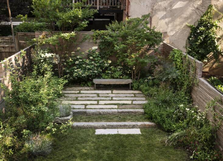  Above: The clients wanted a sustainable, low-maintenance lawn, so Farris had her contractor seed a turf grass and clover in the lawn area below and grass mixed with thyme in between the stone pavers at the back.