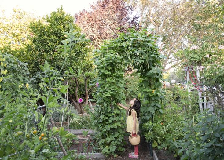  Above. The vegetable garden, before adding Vego beds. This winter, Samin planted cool-weather crops like garlic, favas, and peas. \2\20;Garlic is the best gift to myself. It\2\17;s low-maintenance, and I can pull green garlic and scapes as it grows and then when it’s fully mature, I dry it out and braid it and have garlic for most of the rest of the year.\2\2\1;