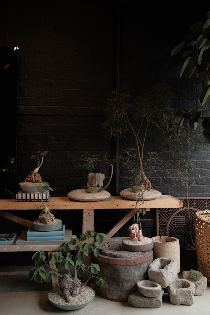 A variety of tabletop plants styled by Moffitt.