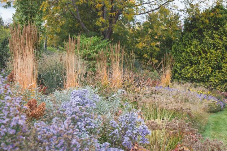 Above: Ecologically diverse landscapes have many layers and include a combination of both woody plants and herbaceous ones. They include many bloom shapes, colors, and times. Photograph by Kelly Norris, courtesy of American Horticultural Society.