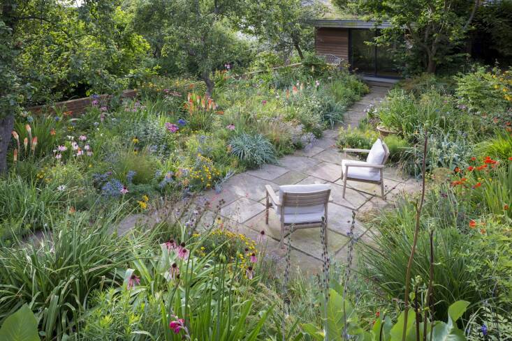 Hitchmough managed to cram an astonishing 700 plant taxa into his former garden in Sheffield. Photograph by Richard Bloom.