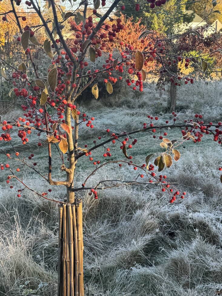 The landscape in winter is just as dramatic.