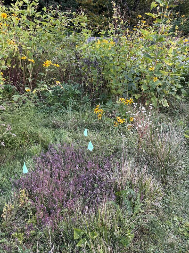 These little flags are the garden equivalent of post-it notes.