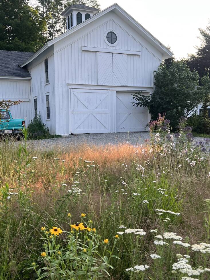 A rewilded landscape still needs maintenance.