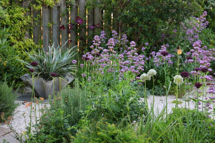 Morton describes his drought-tolerant planting scheme as “deceptively simple,” noting he used repeated structural planting with a matrix of grasses that “allow the feature plants to really stand out when it is their turn to shine.” Strategically-placed, naturalistic evergreen shrubs break up the space and define different areas within the garden.
