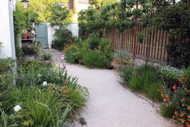 Custom wood fencing and a row of newly-planted pleached trees and two specimen multi-stem ‘Strawberry’ trees create privacy and vertical interest along the property line.