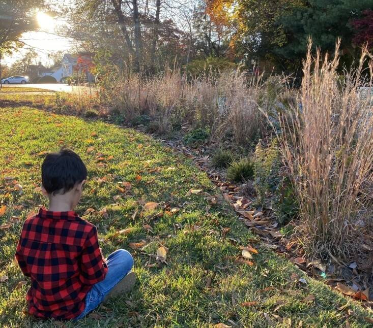 Photograph courtesy of Will Coleburn/Swamp Rose Co-Op.