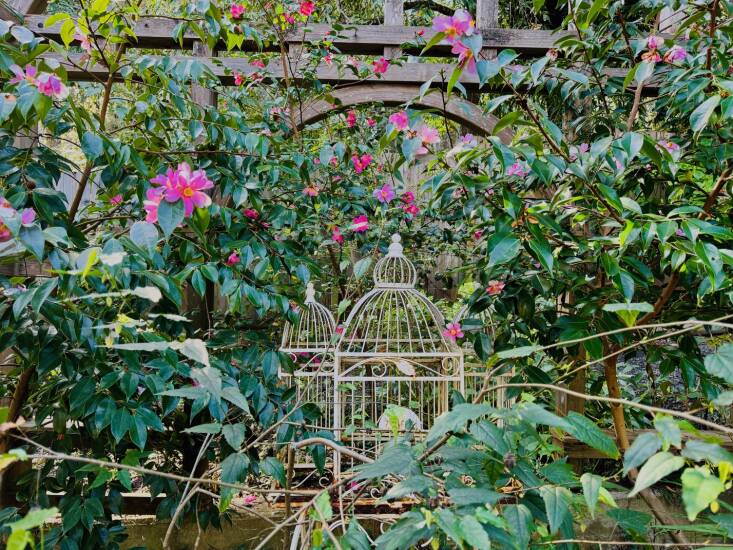 Peeking out is a quaint birdhouse nestled in the foliage and flowers found in the garden\2\17;s folly that was inspired by the British garden designer Penelope Hobhouse. Photograph by Kier Holmes.