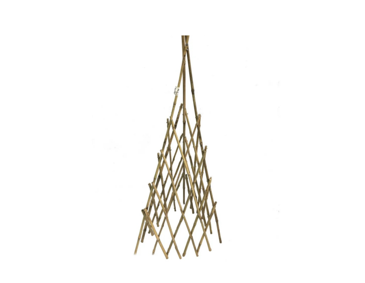 Bamboo Teepee Trellis at Plant Material