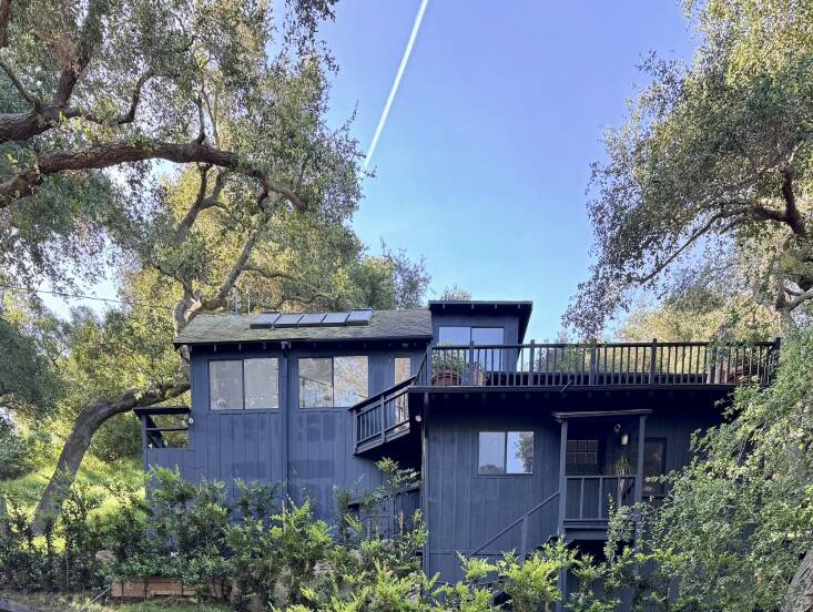 Los Angeles-based landscape designer Mintee Kalra of Peruse painted her \19\20s cottage black when she bought it. Kalra tested colors on every exposure of the house, settling on Sherwin-Williams’s Tricorn Black in a satin finish, which she says offers “just enough reflectivity to hold depth without reading glossy.” Eventually, she plans to re-clad the house in sugi ban cladding as a fire-resistant safety measure. Photograph courtesy of Peruse.