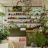 Green Living: A London Home Packed to the Rafters with Houseplants