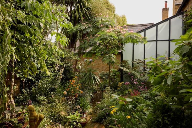 A cacophany of plants outdoors, too, creates a real jungle.