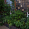 The Beauty of Imperfection: A Favorite Garden at this Year's Chelsea Flower Show