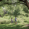 10 Things Nobody Tells You About Organic Lawns
