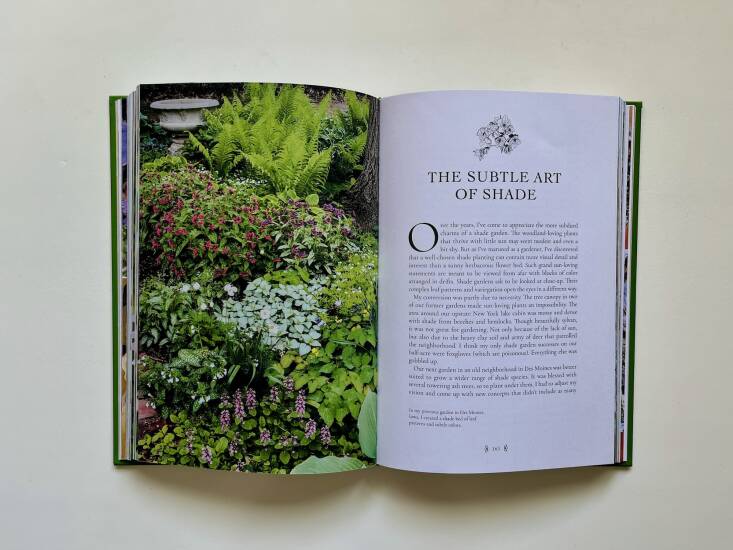 This essay is excerpted and adapted from The Gardener\2\17;s Mindset by Stephen Orr, which is available wherever books are sold, including Bookshop.org