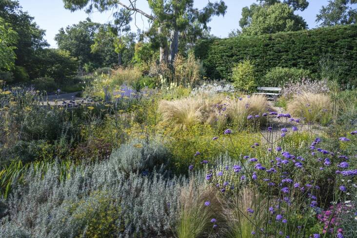 Above: Epping calls renowned British horticulturist Beth Chatto’s former parking lot garden the “OG gravel garden.” The naturally sandy, gravelly soil, and full sun presented the perfect spot to create a dried riverbed she’d admired from her travels. Using garden hoses, she laid out deep side borders, six island beds, and a sinuous path mimicking the riverbed. Photograph by Julie Skelton.