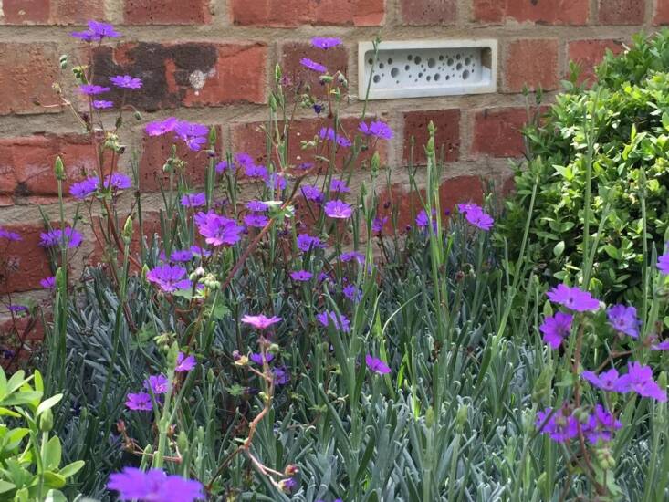 Green&Blue\2\17;s integrated animal habitats have made a few appearances at the Chelsea Flower Show. Here, its Bee Brick was installed in an Alitex greenhouse at the show. Photograph via Green&Blue.