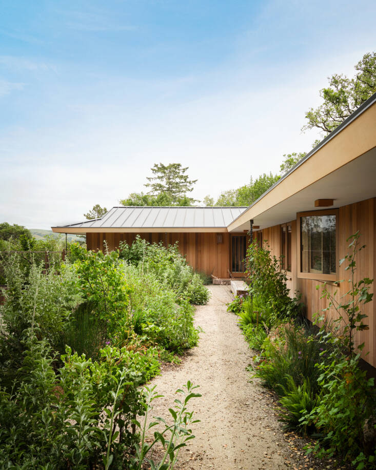 Paths of golden decomposed granite echo the colors of the surrounding landscape and cedar house, while providing a permeable surface. Photo by Stephen Kent Johnson.