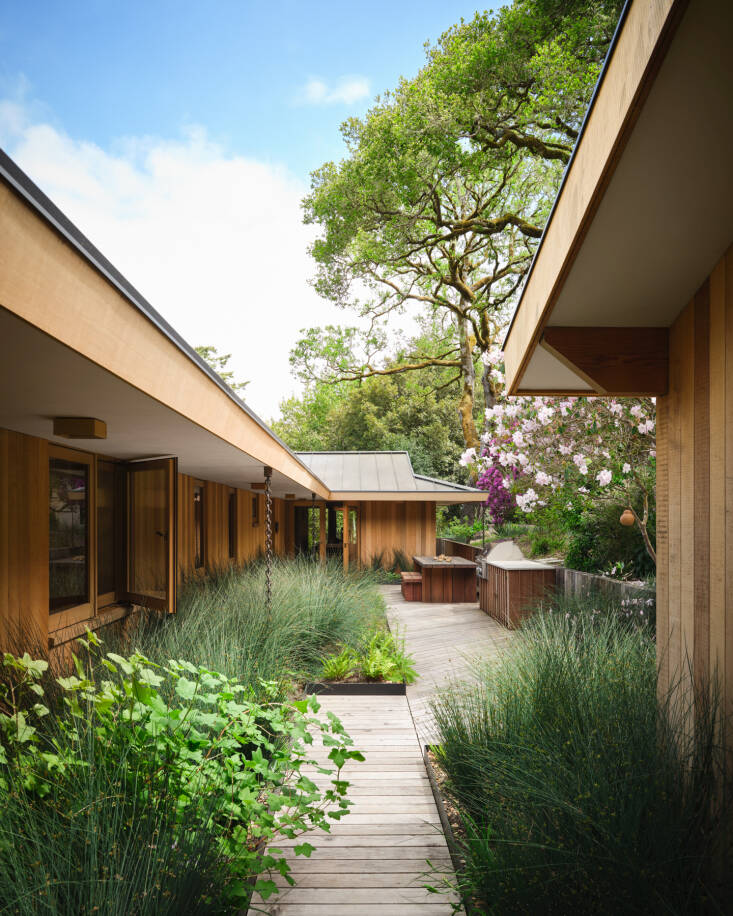 The boardwalk and Corten steel raised beds were designed together to solve the site\2\17;s drainage, directing runoff beneath the decking while allowing water to collect naturally in a field of Juncus. Photo by Stephen Kent Johnson.