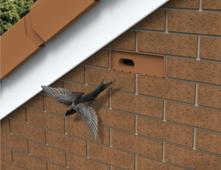 A Swift leaving a Manthorpe Swift Box. Photograph via Manthorpe.