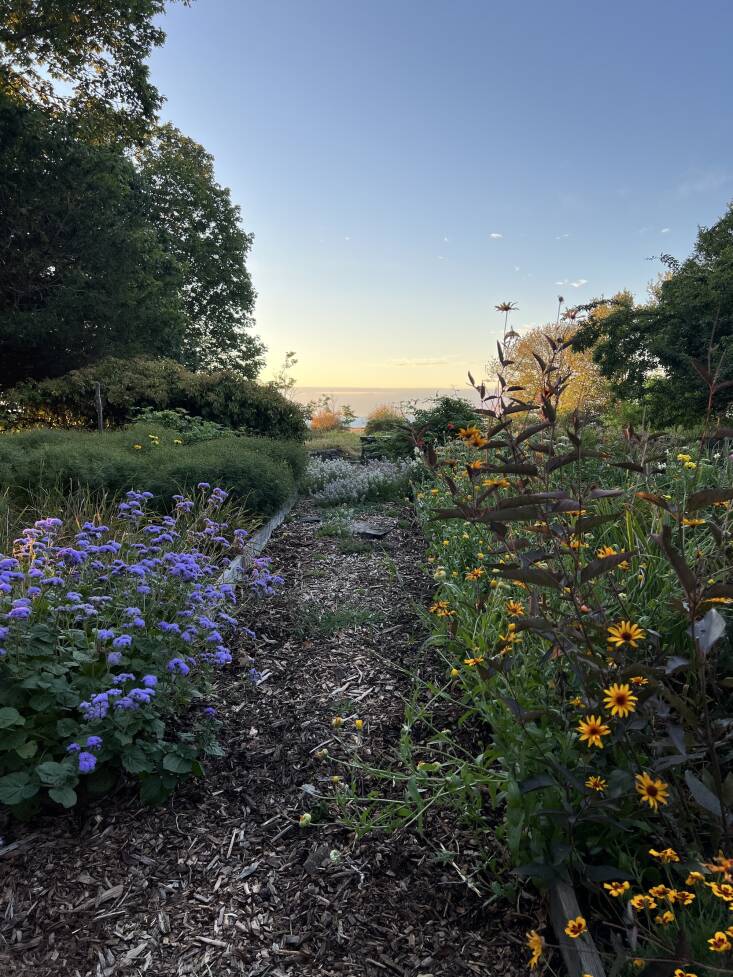 Overlooking the ocean, the garden continues to be a historical tribute involving artists, the community, and nature. Photograph by Carly Glovinski.