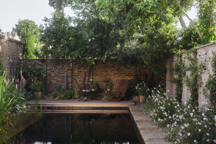 Of course, one of the biggest challenges in building the pool was site access—all the materials had to be transported through the house—but the verdant reprieve from the city bustle was well worth the effort.