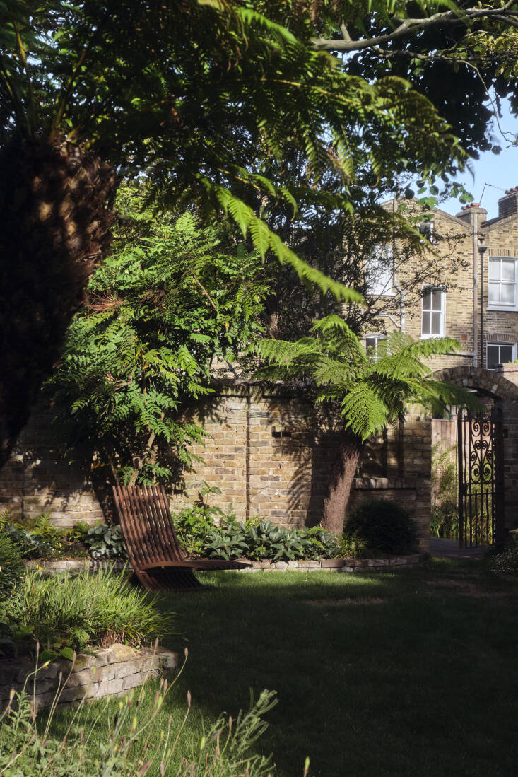Sophie kept a \2\20;superb\2\2\1; Mahonia against the rear wall, which she framed with ferns, Japanese anemones, and foxgloves (digitalis). She crafted an immersive journey from the house to the pool using a \2\20;tunnel effect with tree ferns (Dicksonia antarcica), one whose fronds arch over the stepping stones and a second that spills towards the reclaimed iron gate into the pond garden,\2\2\1; she says.\2\2\1;It was a loose brief with an overarching theme of tranquility and envelopment, but the client was on board with me introducing some drama, too.\2\2\1;