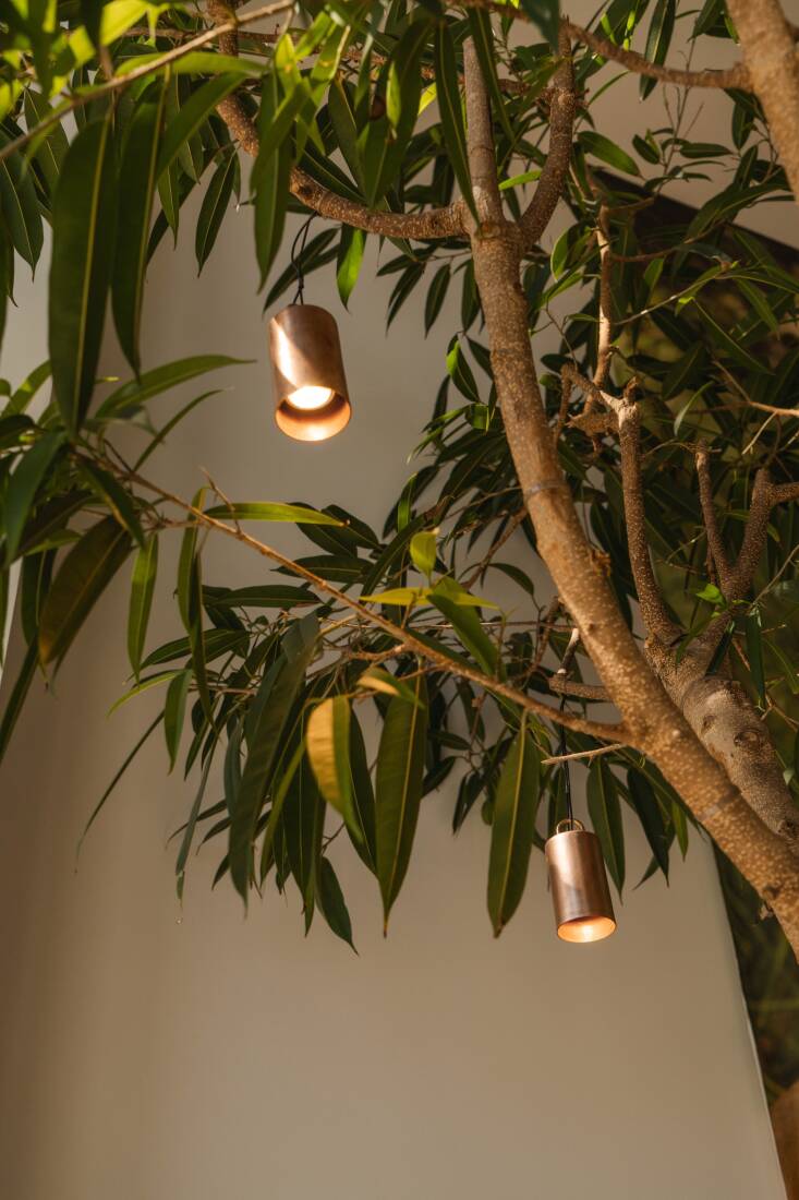Pendulum down lights from ORCA\2\17;s lighting collection.
