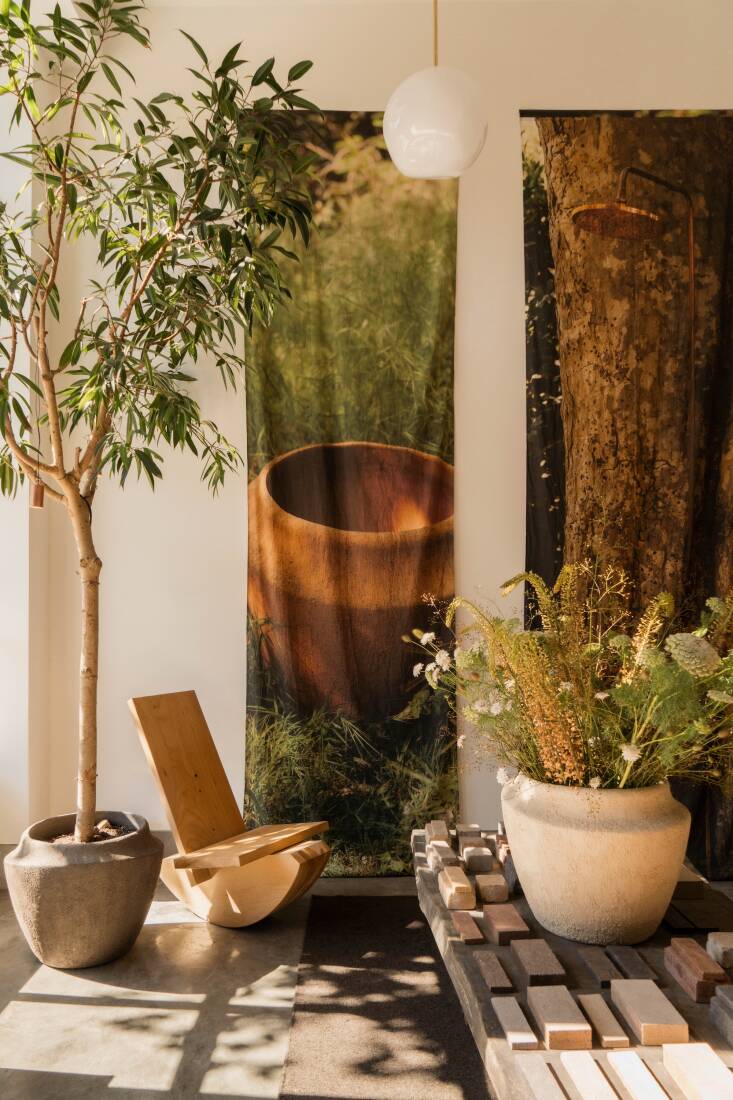 A banana-leaf ficus, sourced from Flora Grubb, grows near the front window in one of ORCA’s Alluvium planters. The cedar rocking chair is part of ORCA’s outdoor furniture collection.