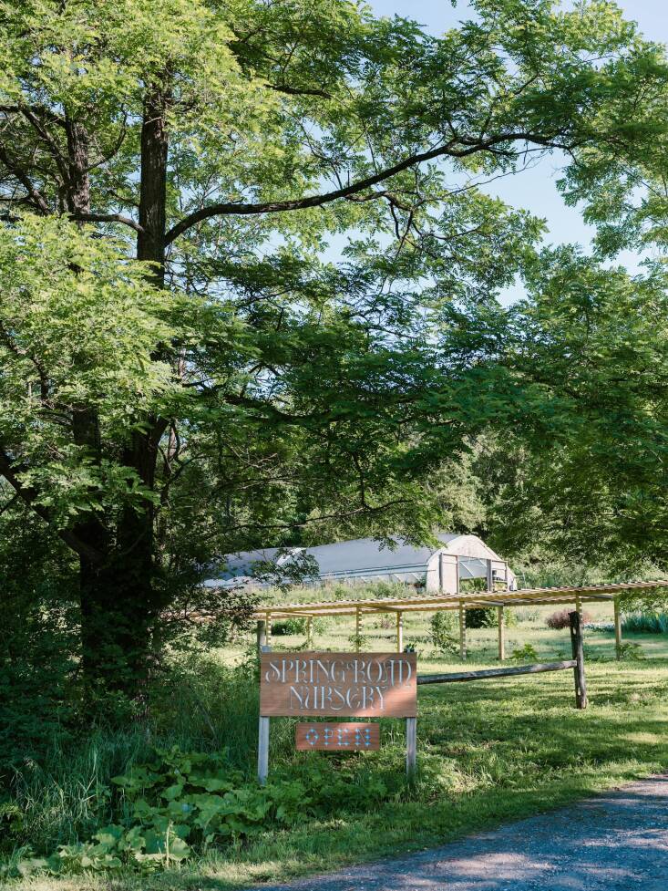 “Visitors wander through our greenhouse and shop, past a weathered potting shed, and out to a terraced hillside that serves as our growing field: a living library of rare, unusual, and sometimes strange plants. Everything here is meant to help people build a closer relationship with the living world around them.”