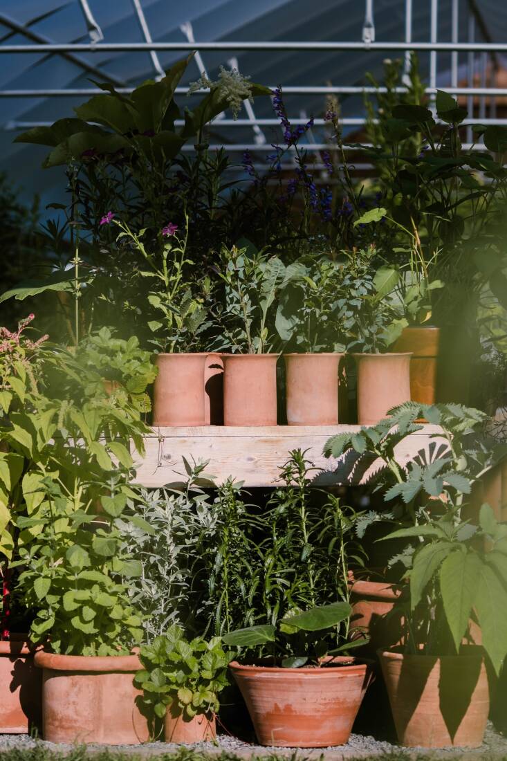 Dunbar, a potter, makes all of the nursery’s pots by hand. The serrated planter (pictured, top) was designed to be just the right size to squeeze into a windowsill.