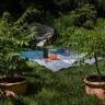 Meet the Small Vermont Nursery Redefining American Gardens