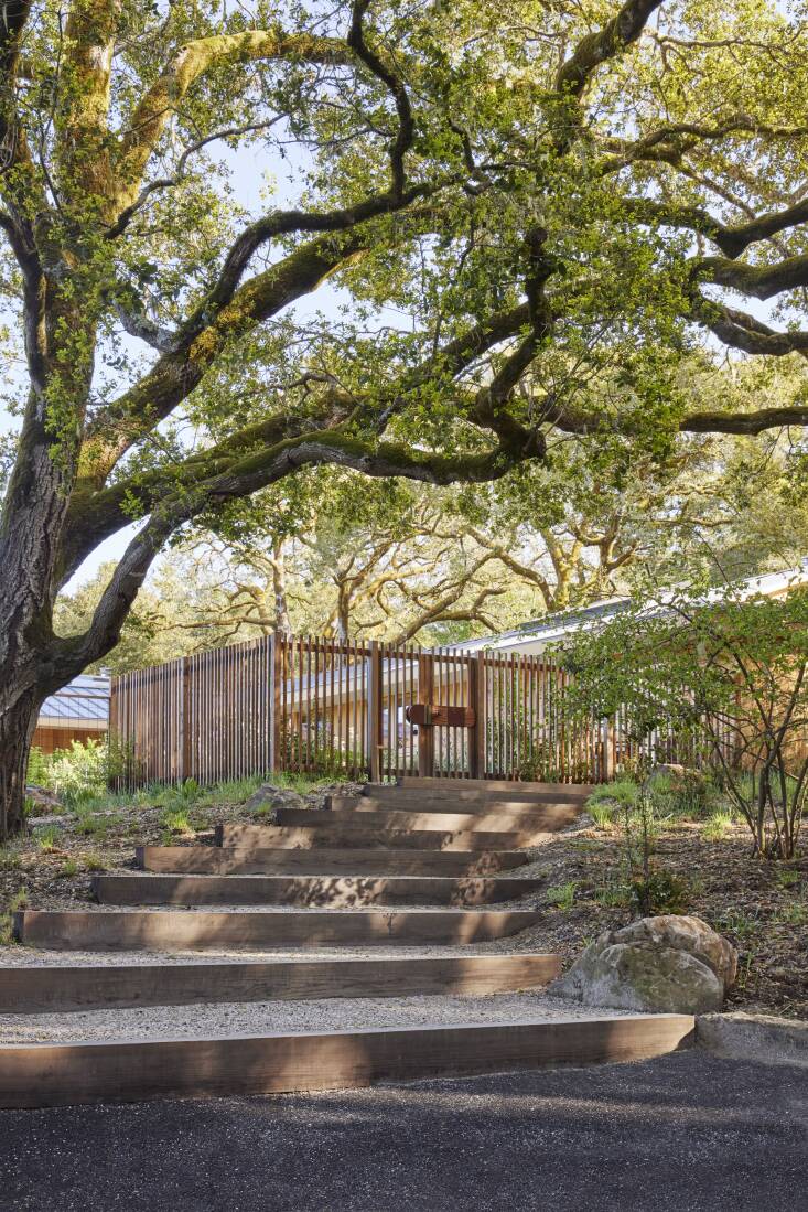 Rather than enclosing the entire property, cedar fencing protects the front garden and orchard from deer while remaining intentionally open and permeable. Photo by Caitlin Atkinson.