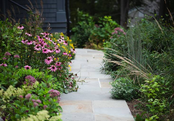 This landscape by Plan It Wild received a Wildr score of 85, partially thanks to the 75 native plants on the property.