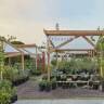 Get Thee to a Nursery! 14 of the Best Independent Nurseries, According to Garden Pros