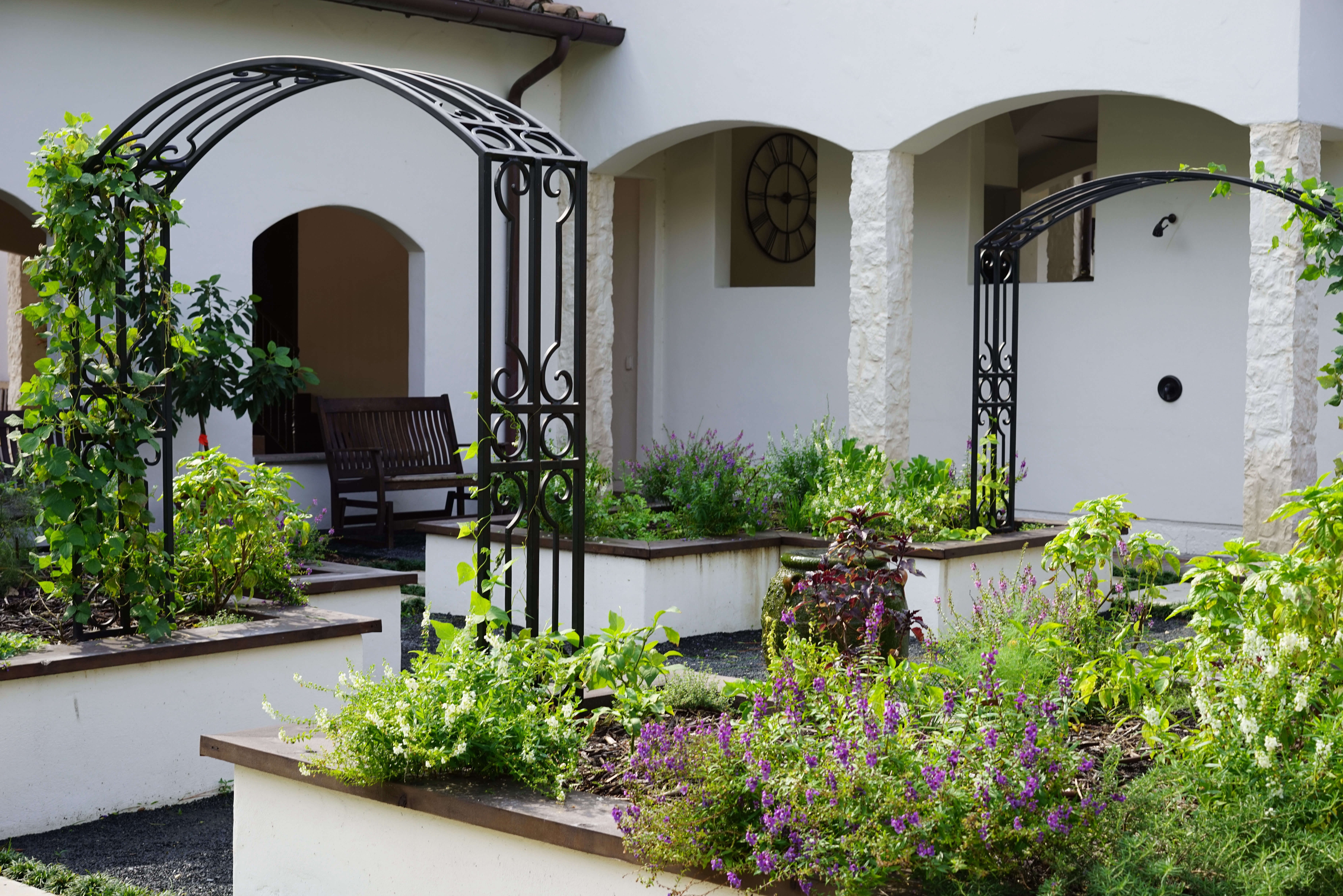 Spanish Colonial Kitchen Garden - Gardenista, image size:7360x4912