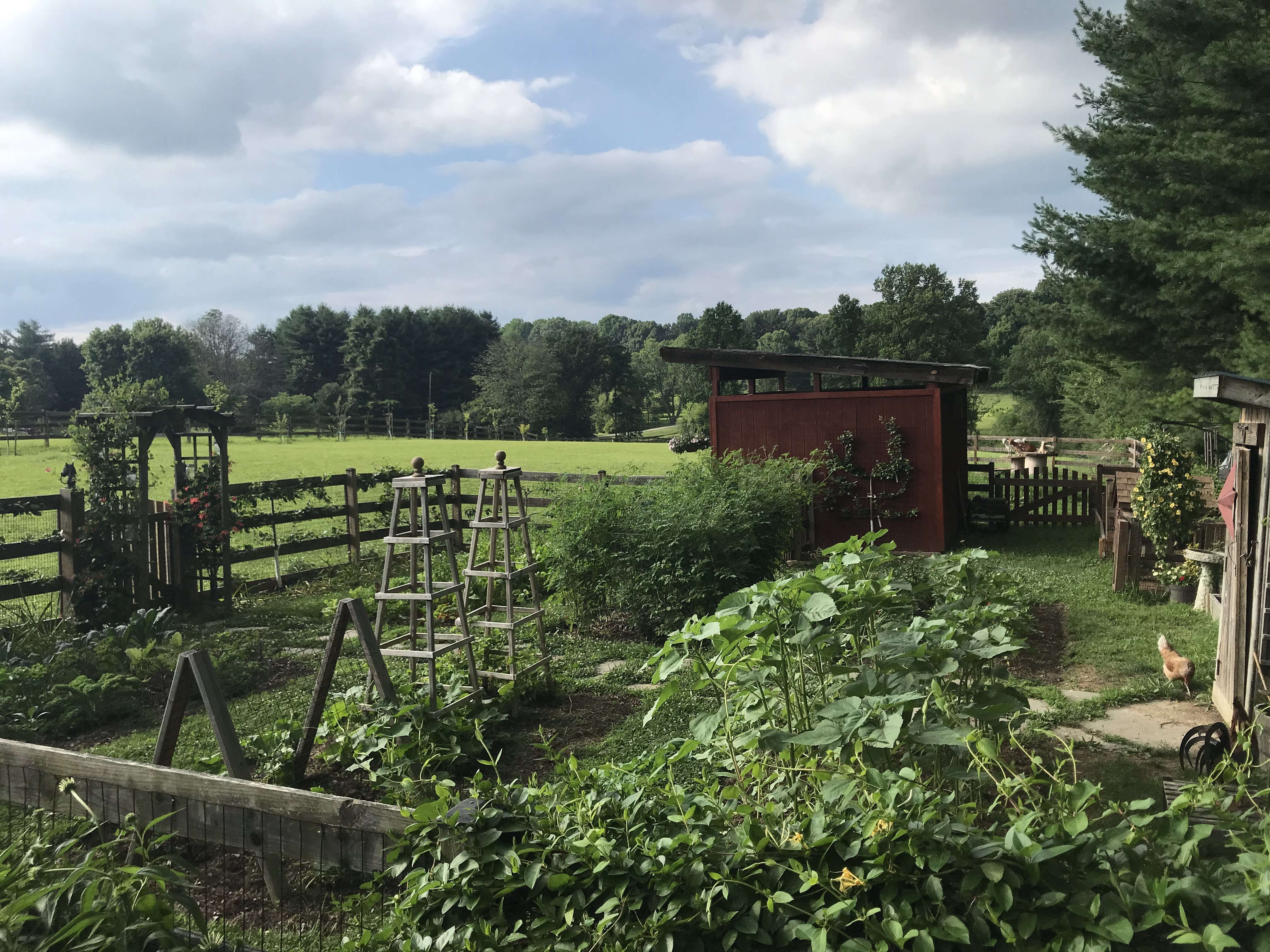 Evergreen Farm Garden Gardenista