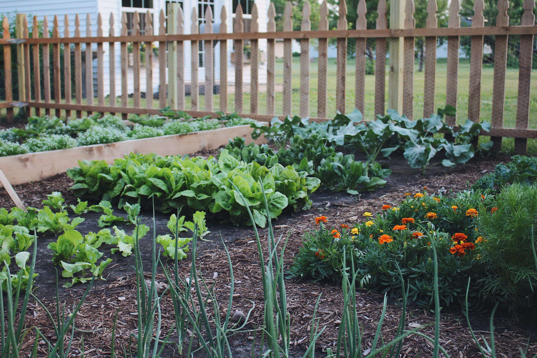Sustainable Kitchen Garden by Under A Tin Roof - Gardenista