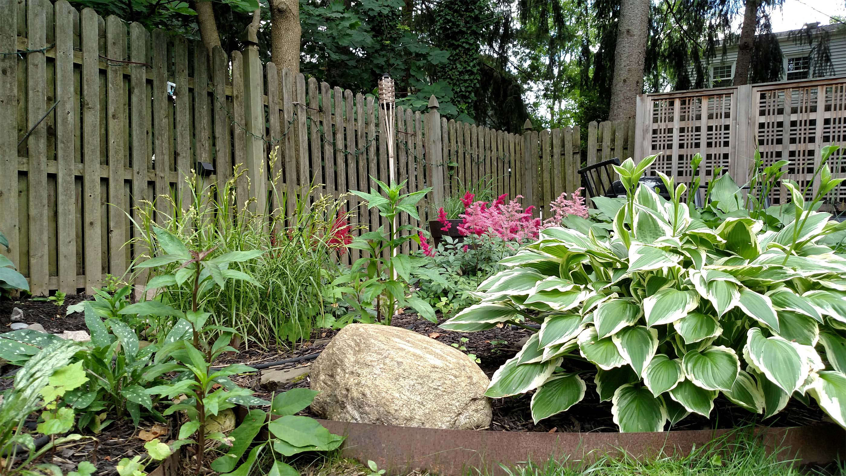 Bioswale for Your Backyard Gardenista