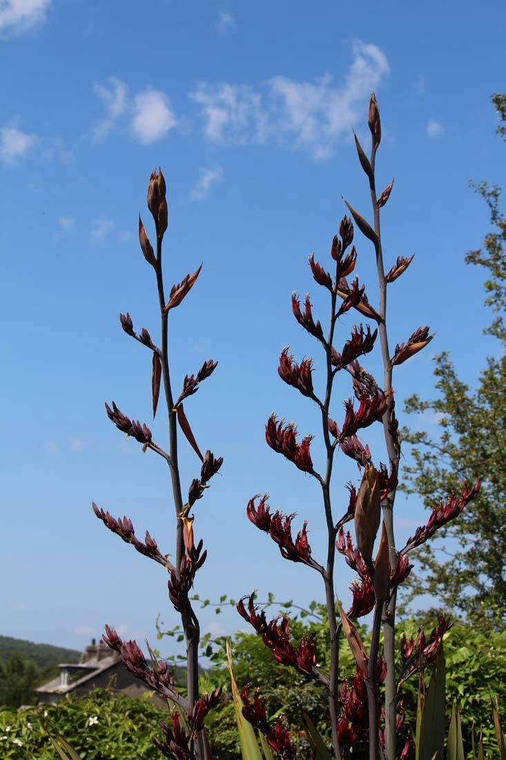 Lakeland Garden - Gardenista