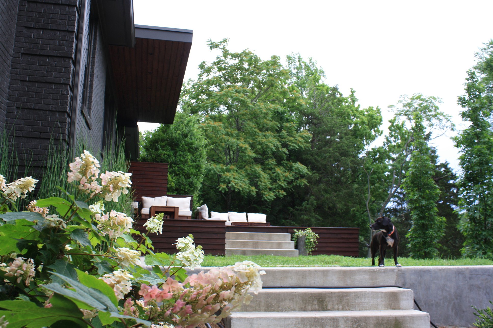 Ragged Ranch to Marvelista Modern - Gardenista